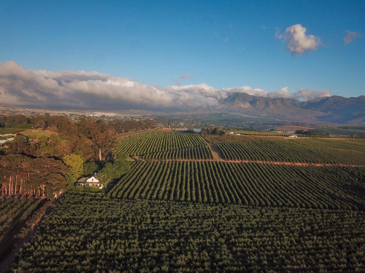 Elgin Country Lodge Grabouw Bagian luar foto